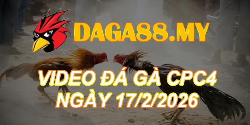 VIDEO GÀ CPC4 NGÀY 17/2/2026