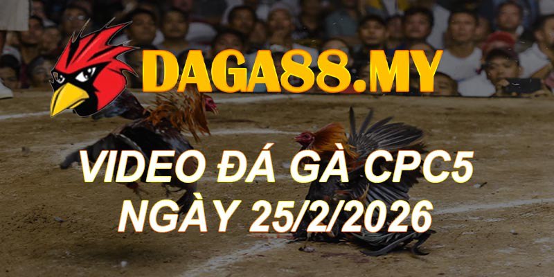 VIDEO GÀ CPC5 NGÀY 25/2/2026