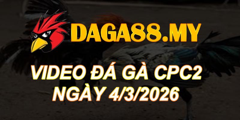 VIDEO GÀ CPC2 NGÀY 4/3/2026