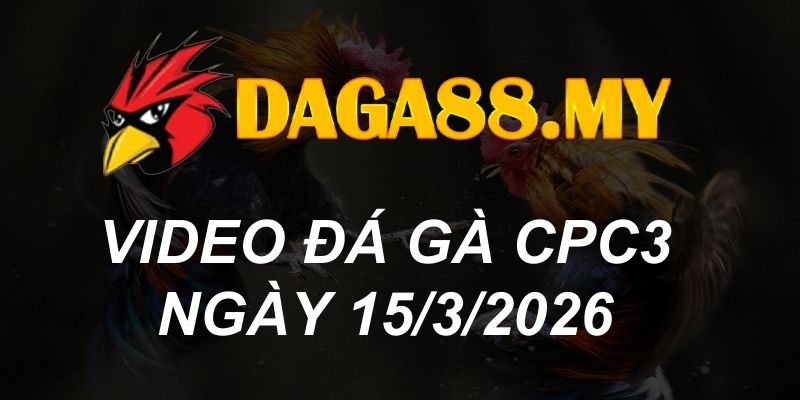 VIDEO GÀ CPC3 NGÀY 15/3/2026