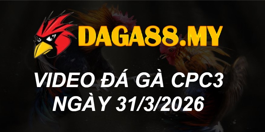 VIDEO GÀ CPC3 NGÀY 31/3/2026
