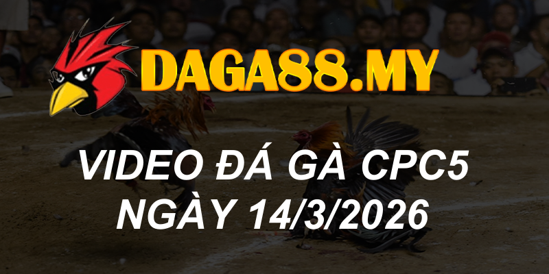 VIDEO GÀ CPC5 NGÀY 14/3/2026