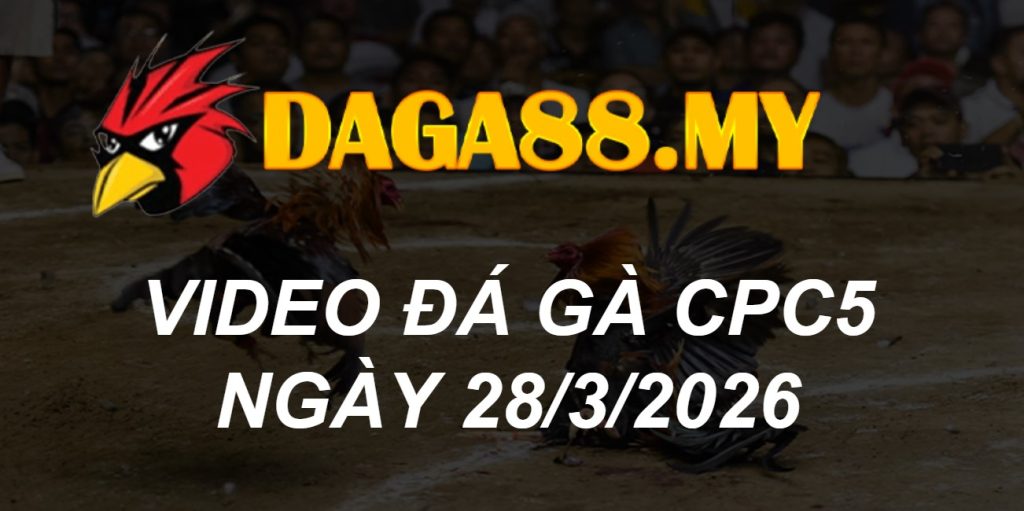 VIDEO GÀ CPC5 NGÀY 28/3/2026