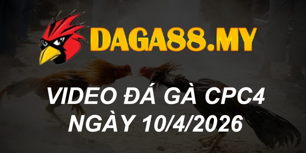 VIDEO GÀ CPC4 NGÀY 10/4/2026