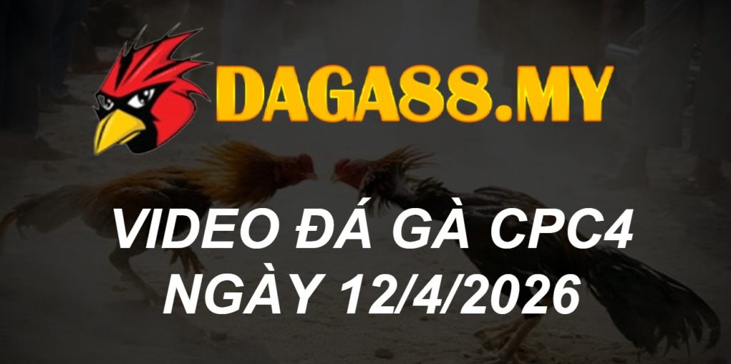 VIDEO GÀ CPC4 NGÀY 12/4/2026