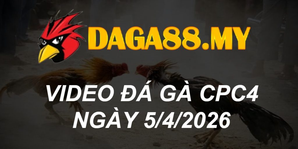 VIDEO GÀ CPC4 NGÀY 5/4/2026