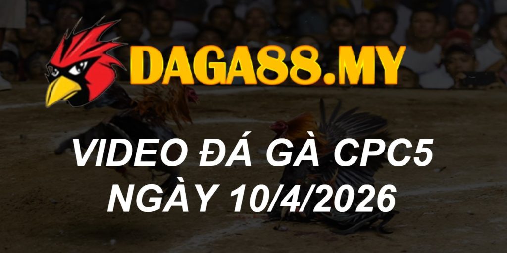 VIDEO GÀ CPC5 NGÀY 10/4/2026